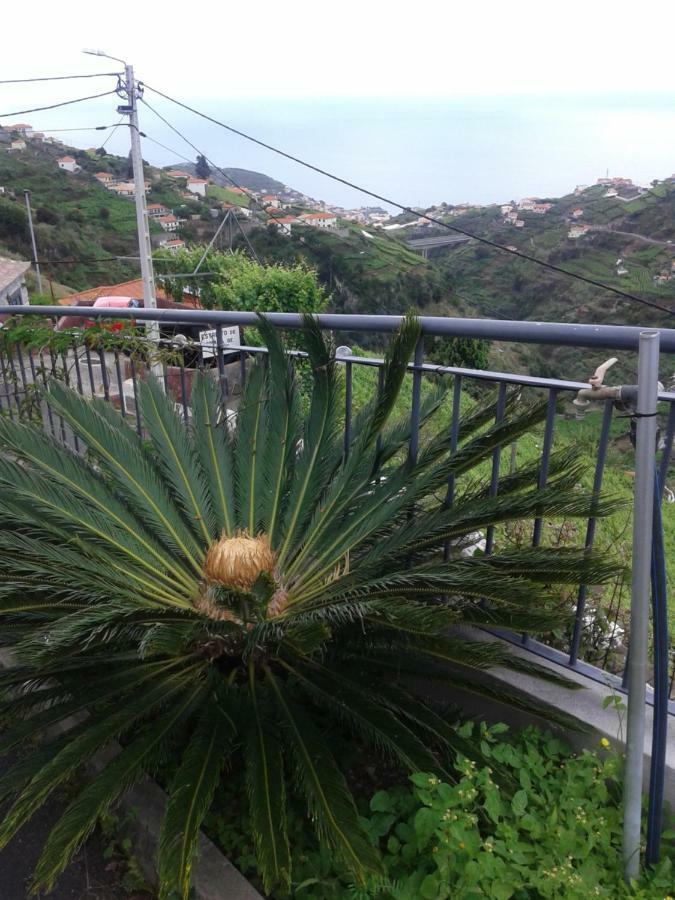 Apartamento Barros エストレイト・デ・カッマラ・デ・ロボス エクステリア 写真